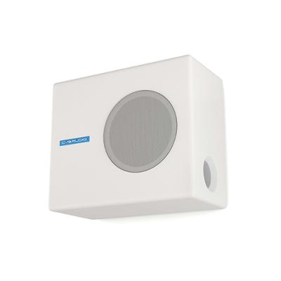 CVGAUDIO SUBone model A-6W/Active